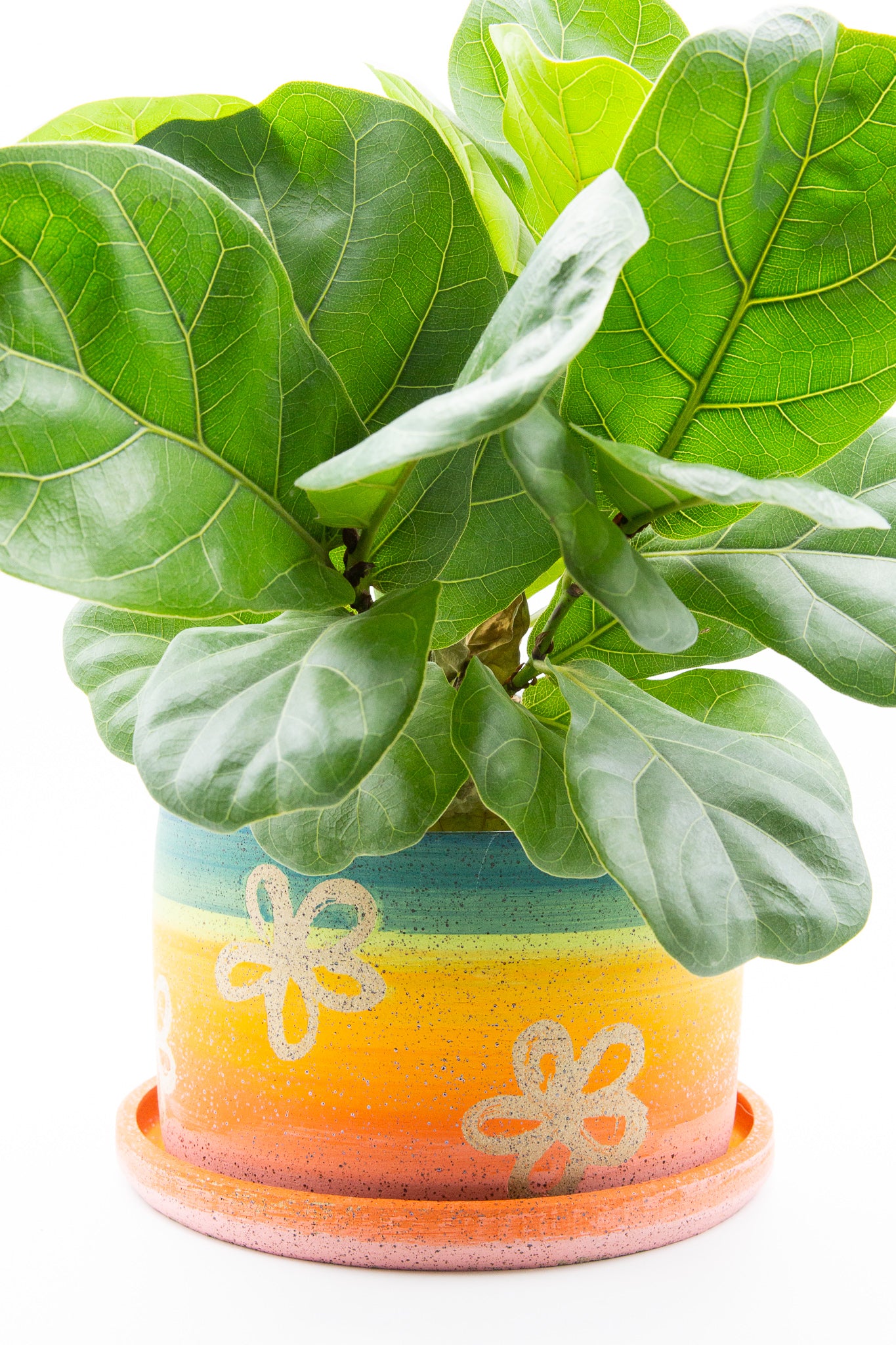 Planter 067