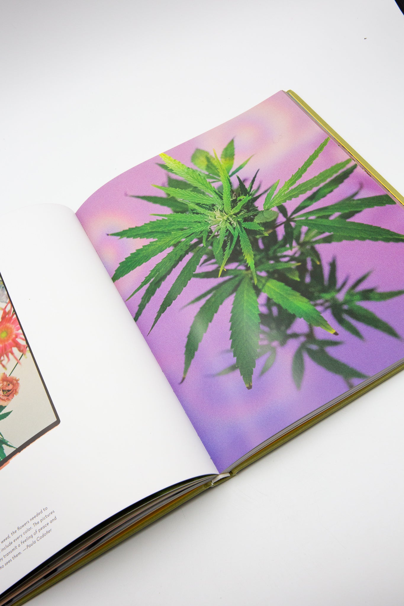 Broccoli Weed is a Flower