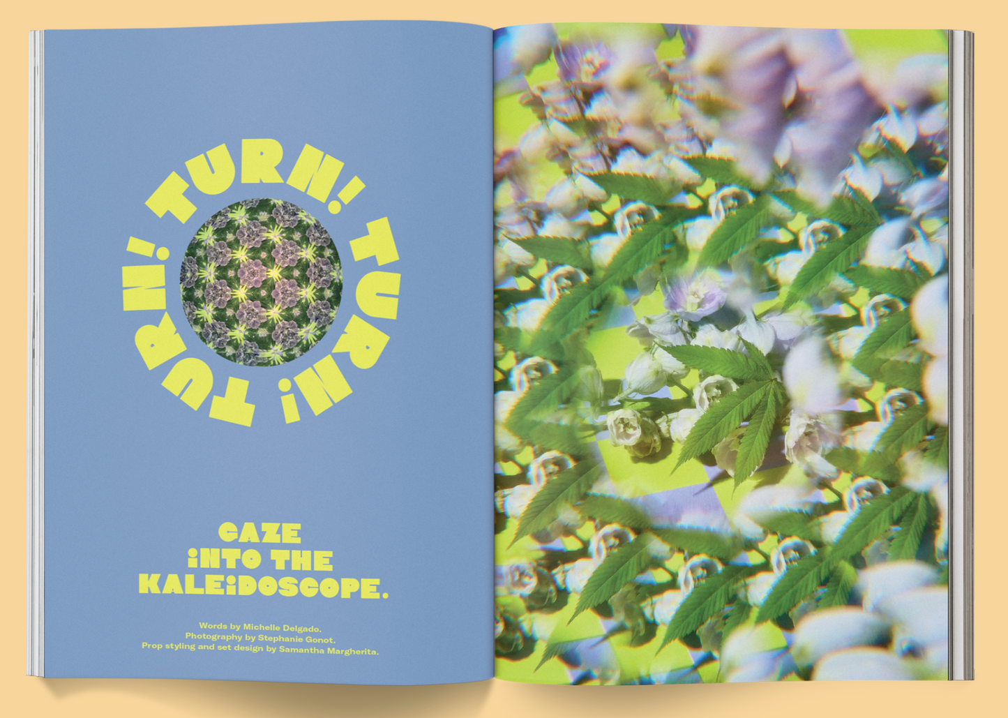 Broccoli Magazine Issue 14