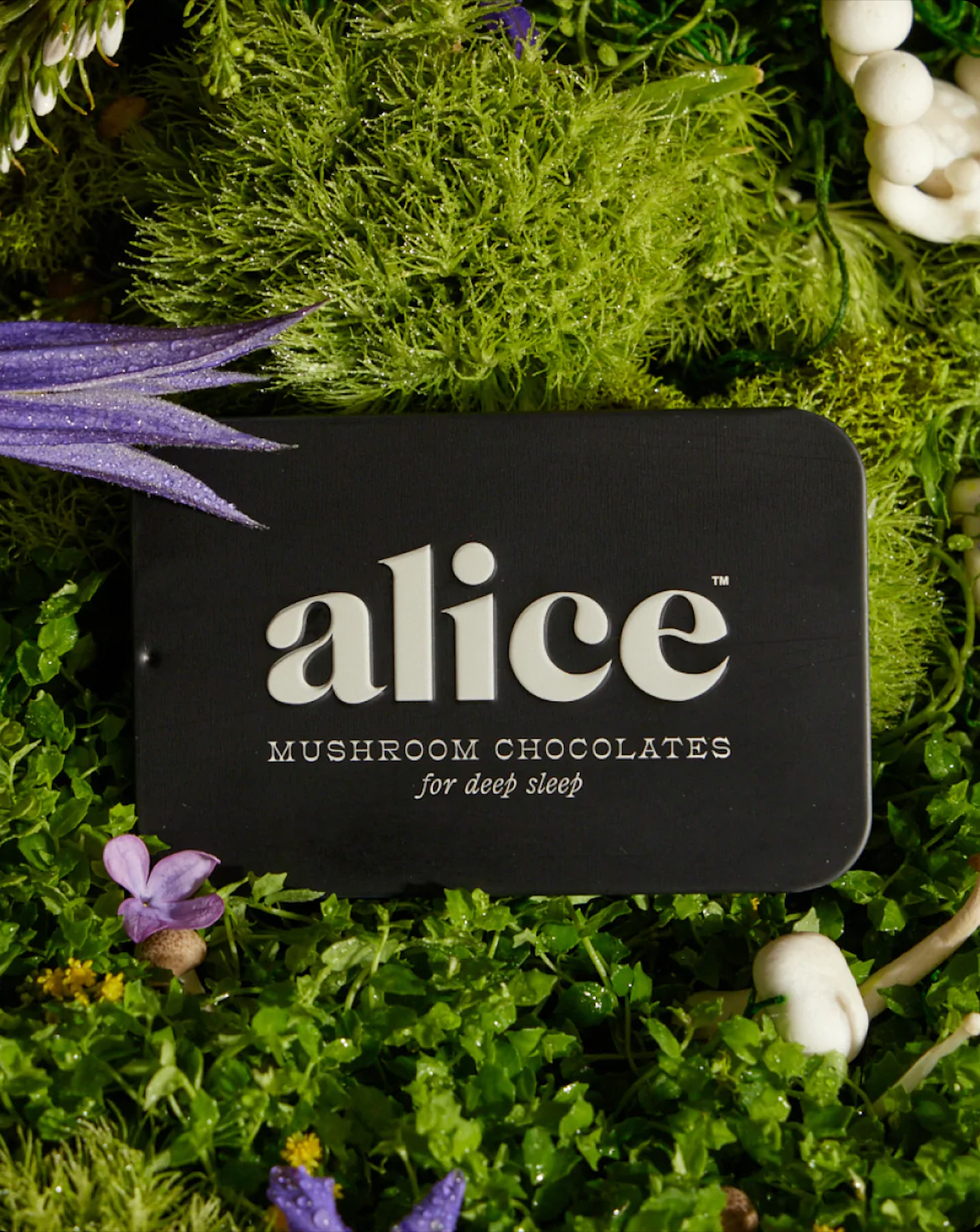 Alice Mushroom Chocolates
