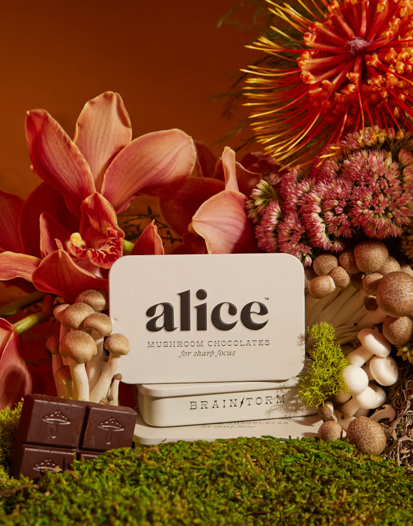 Alice Mushroom Chocolates