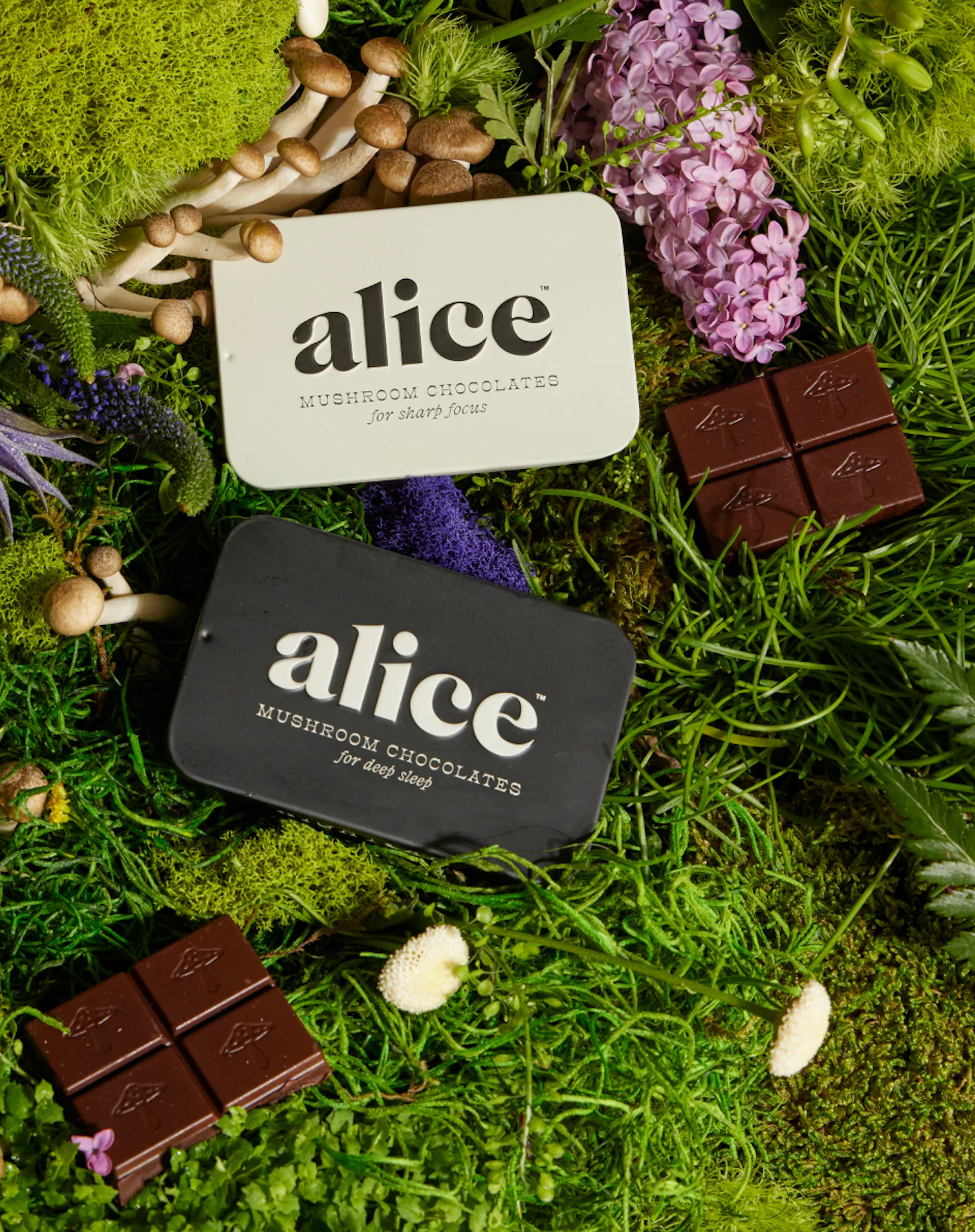 Alice Mushroom Chocolates