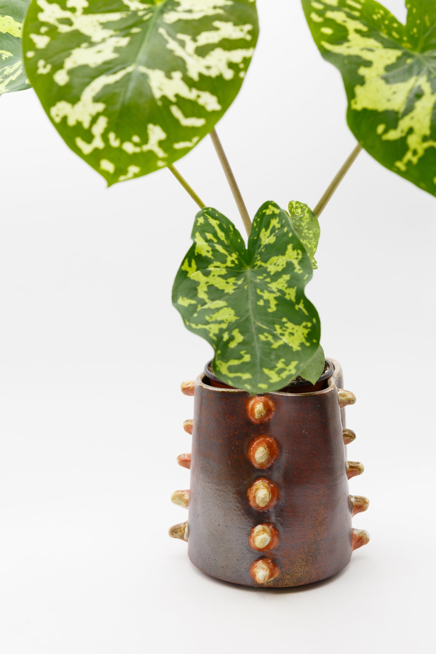 Wood Fired Planter 004