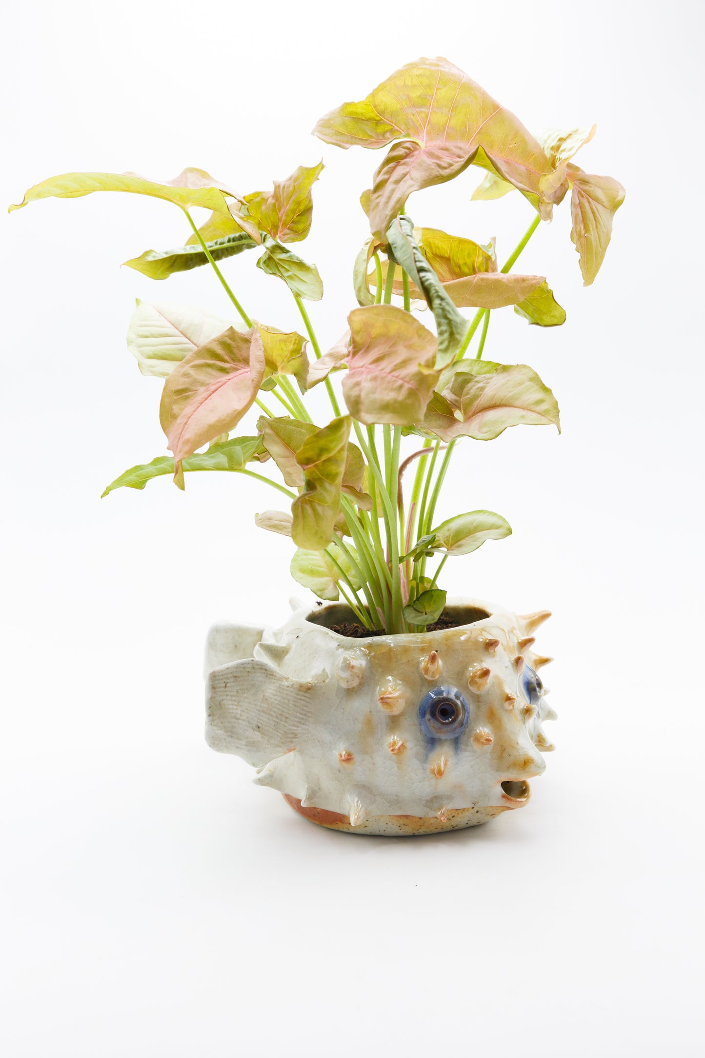 Wood fired planter 010