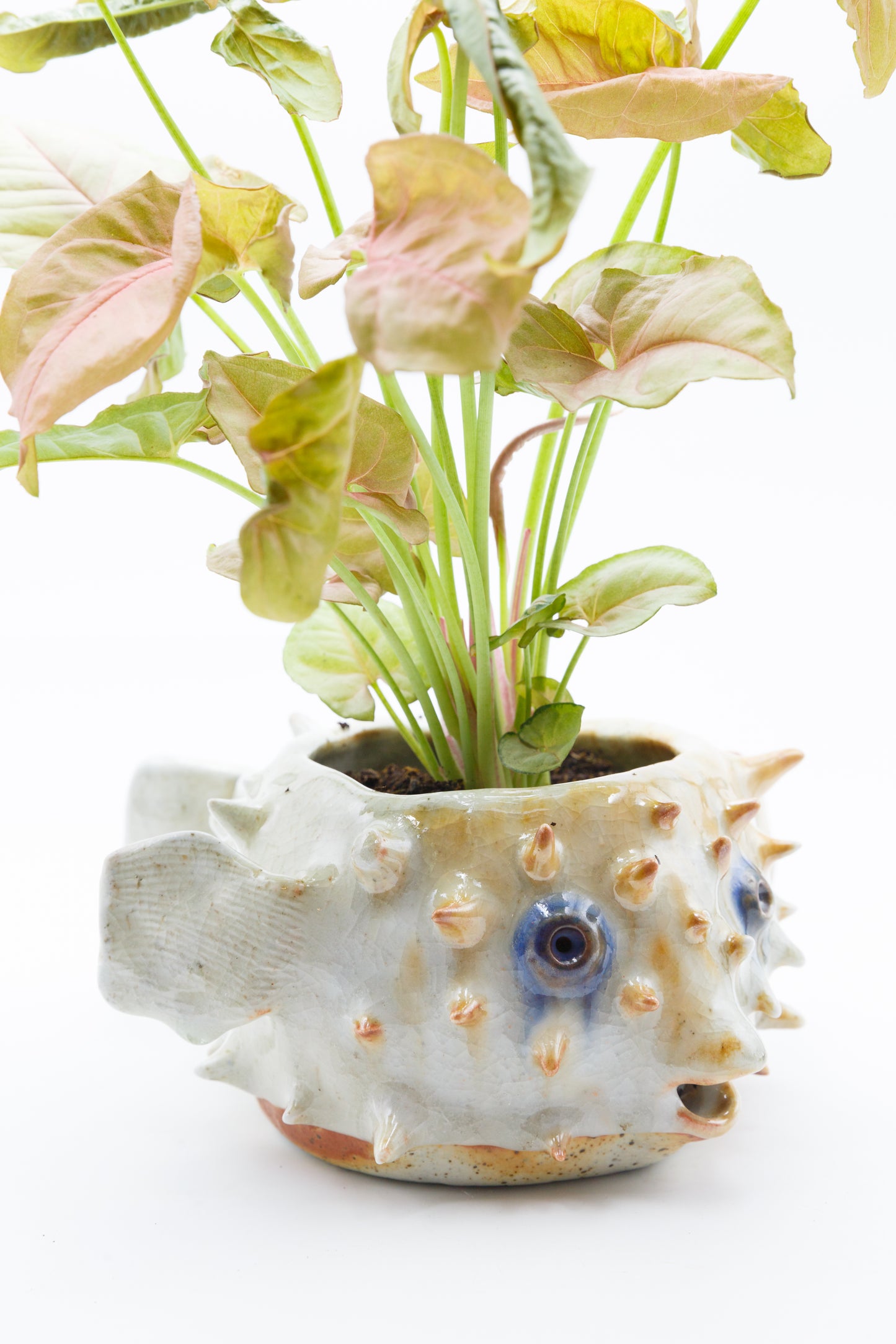Wood fired planter 010