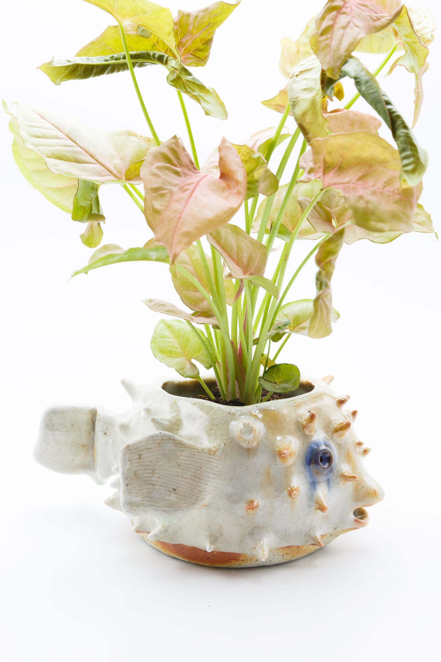 Wood fired planter 010