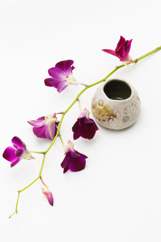 Wood Fired Pinched Cup 008