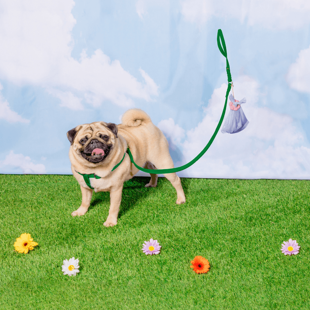 Poopsy Daisy Dog Poop Bag Holder