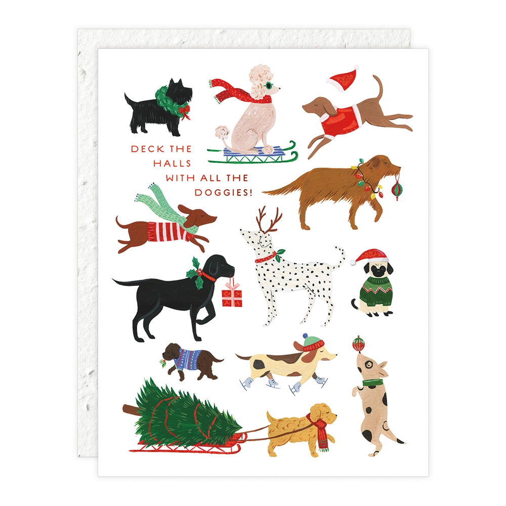 Seedlings Greeting Cards