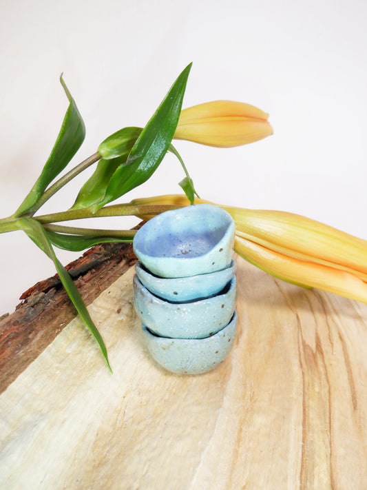 Wood Fired Trinket Dish 016
