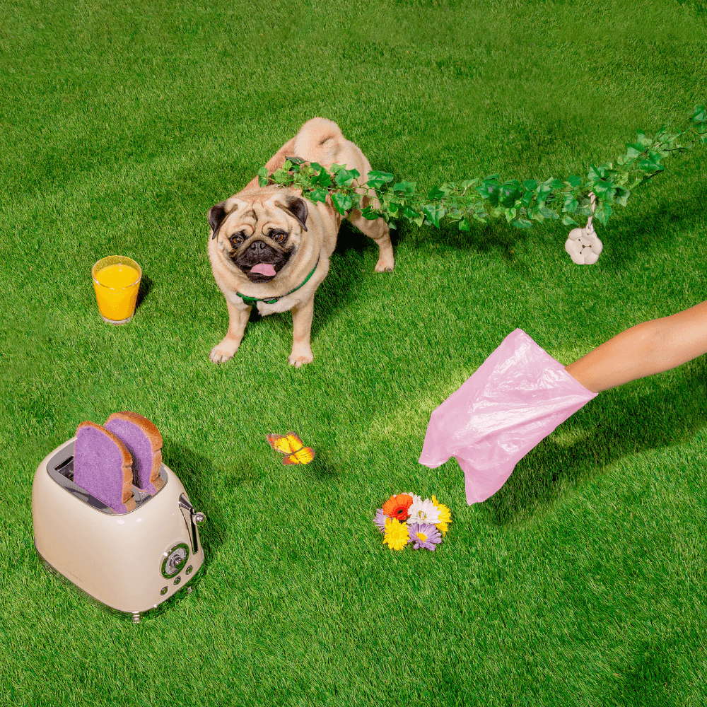 Poopsy Daisy Dog Poop Bag Holder