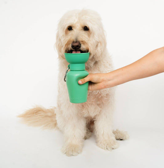 Flip Dog Travel Bottle