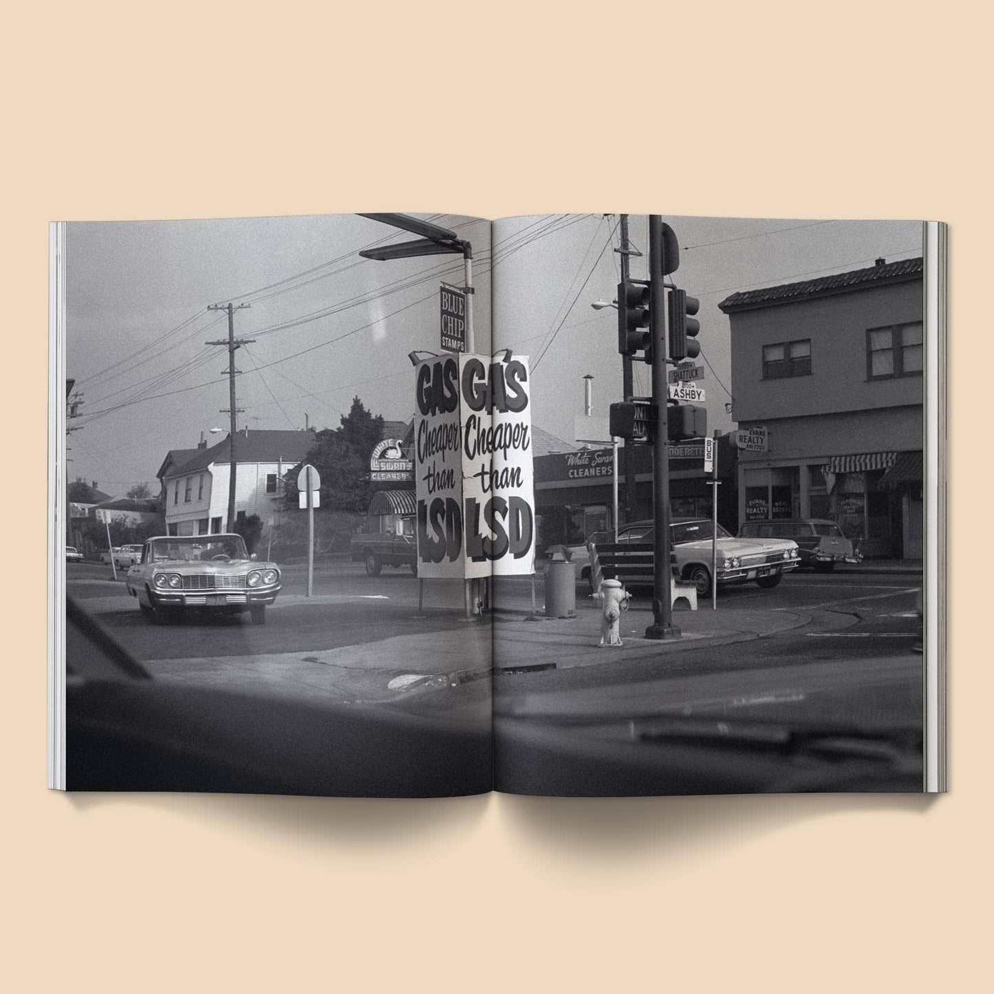 The Family Acid: California Photo Book