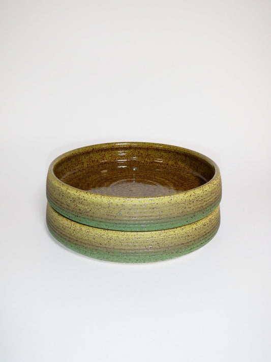 Plate Bowl 043