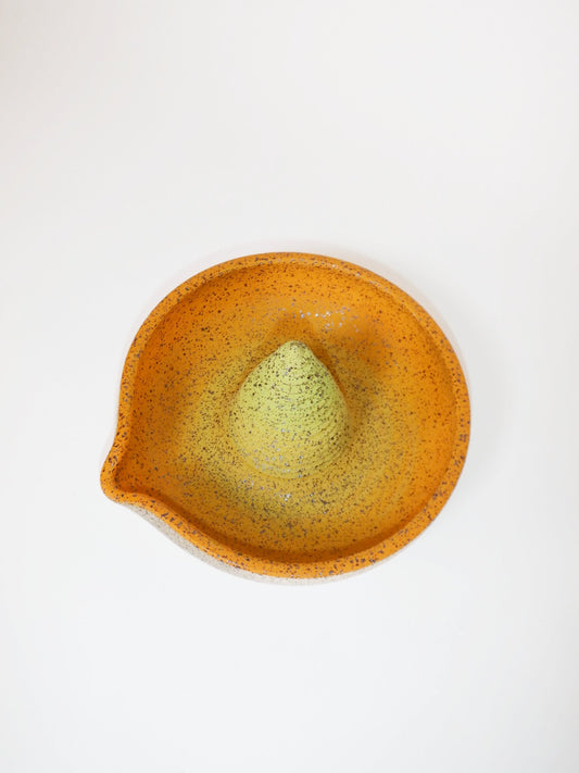 Citrus Juicer 003