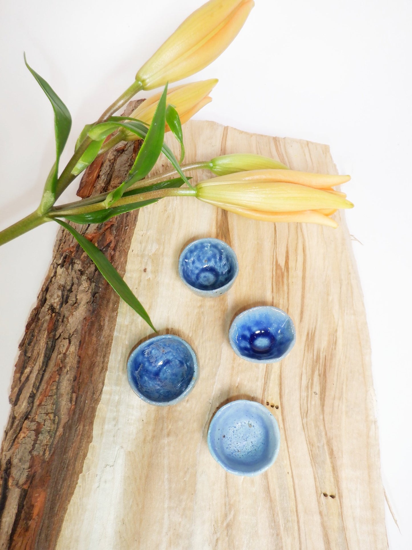 Wood Fired Trinket Dish 016