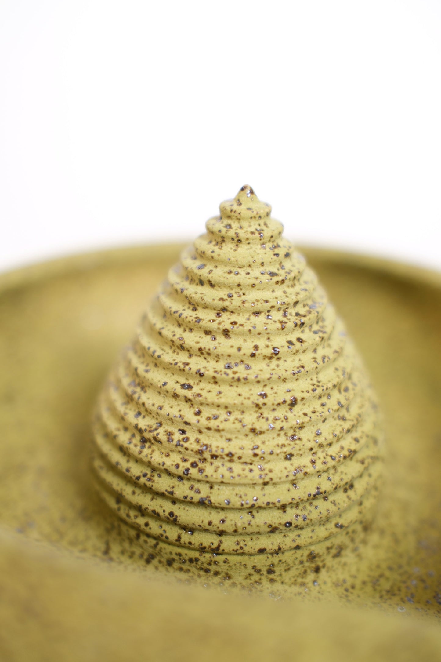 Citrus Juicer 001