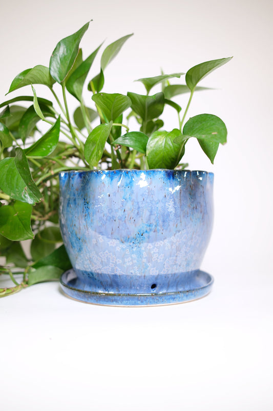 Planter 175