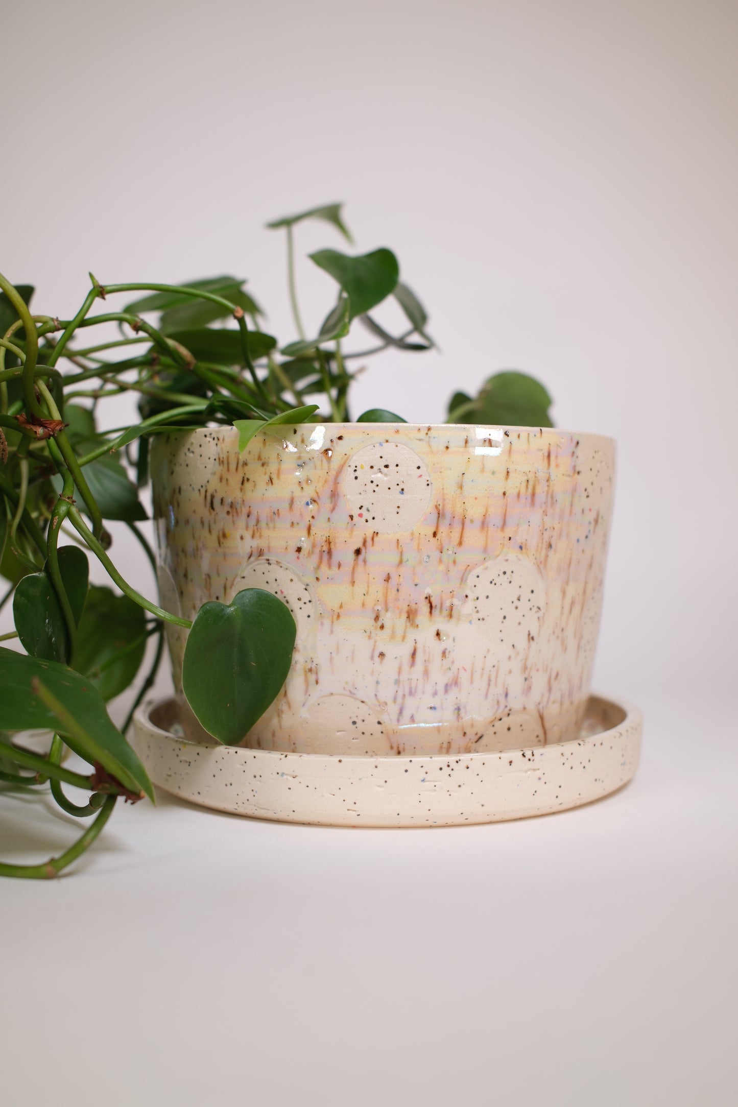Planter 173