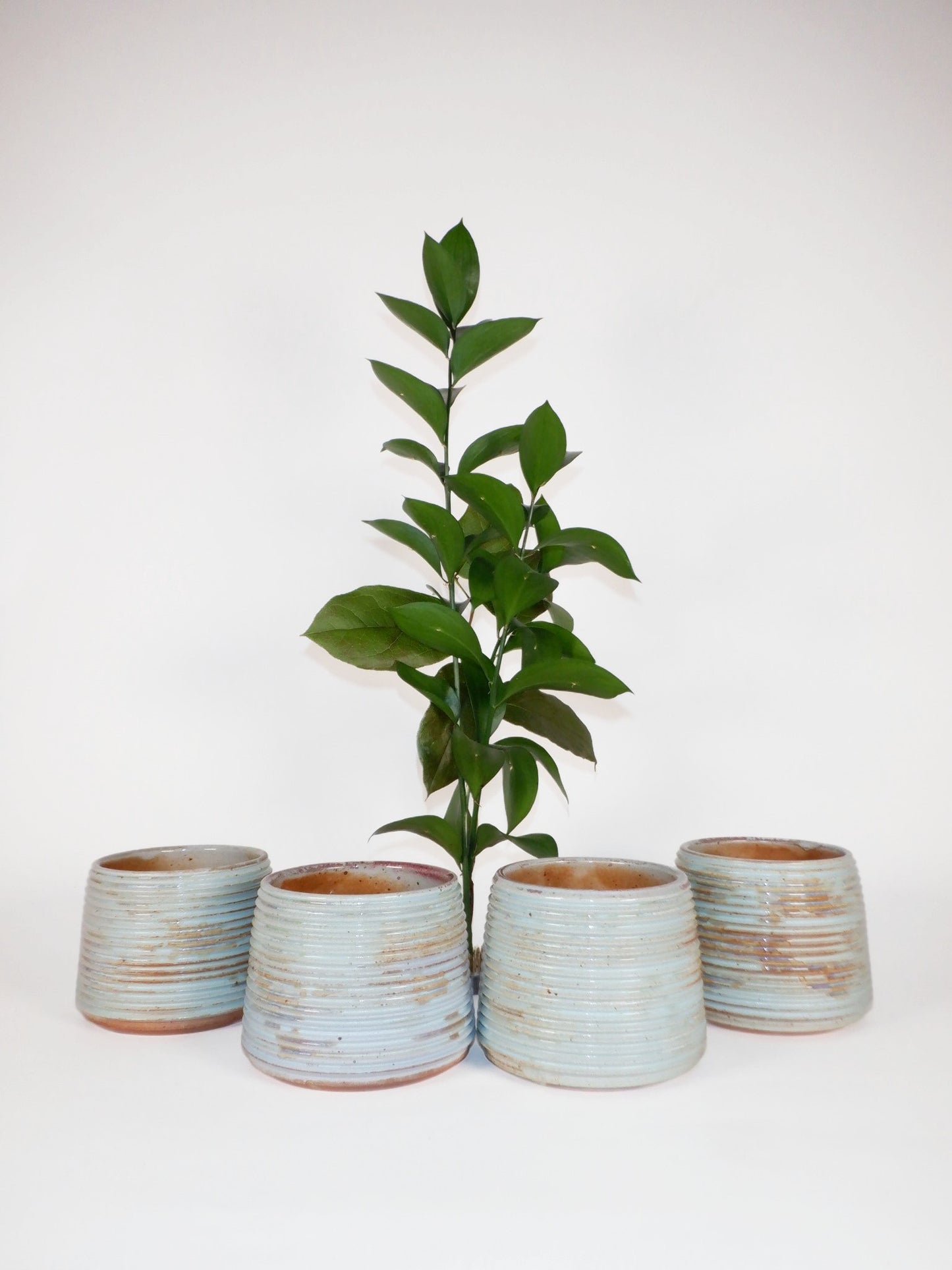 Wood Fired Tumbler 062