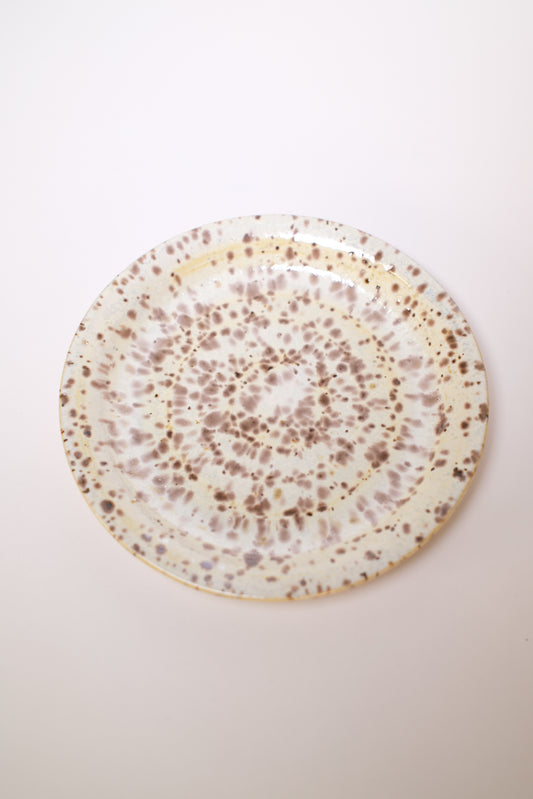 Dish 036