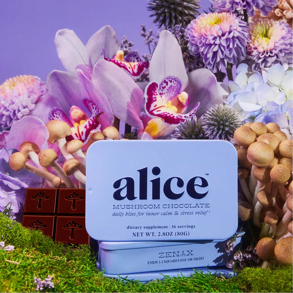 Alice Mushroom Chocolates