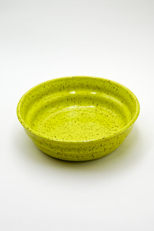 Pasta Bowl 040