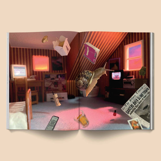 Snail World 2: Welcome to Slimetown