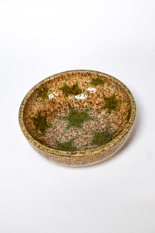 Pasta Bowl 052