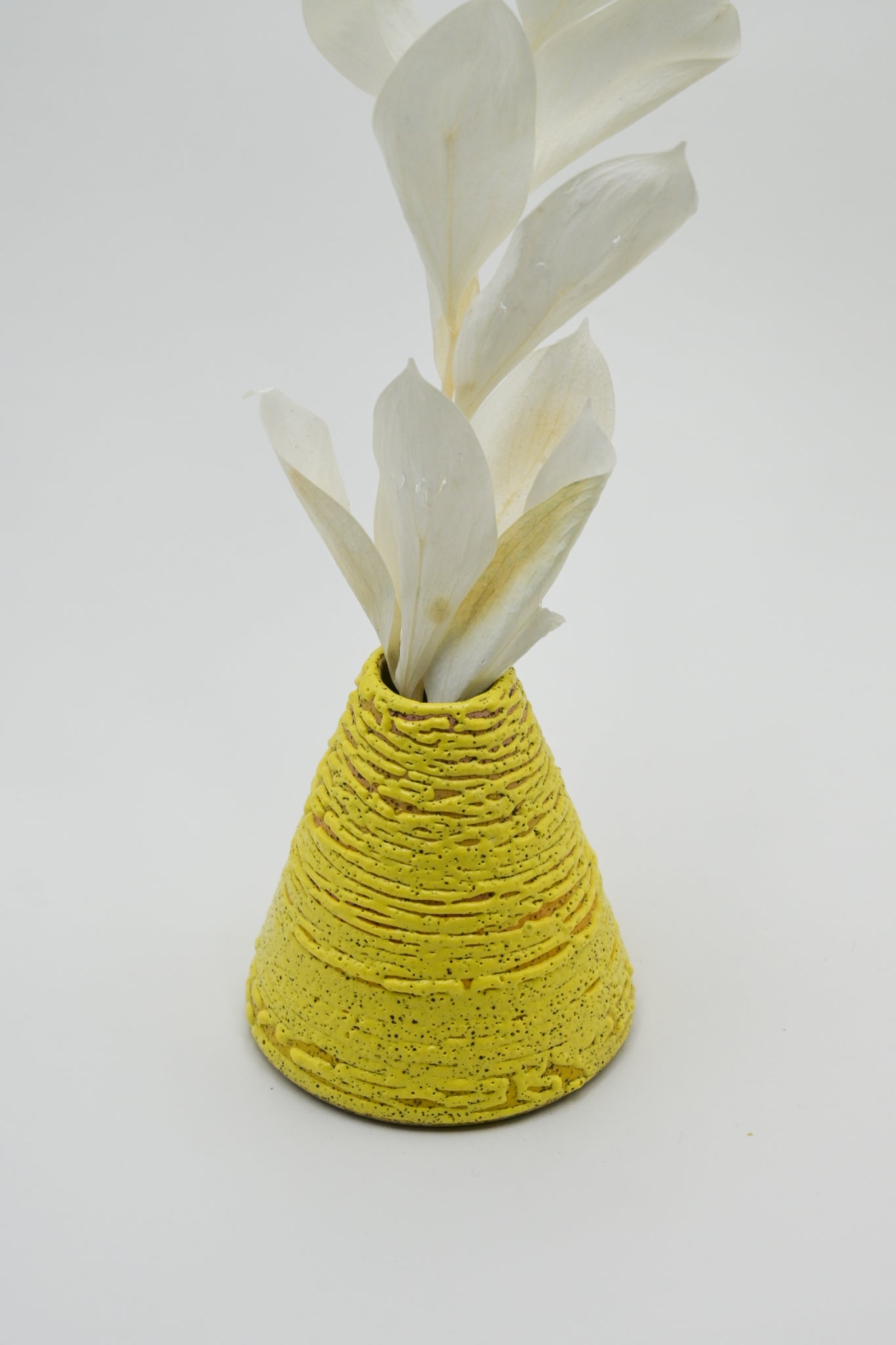 Bud Vase 031