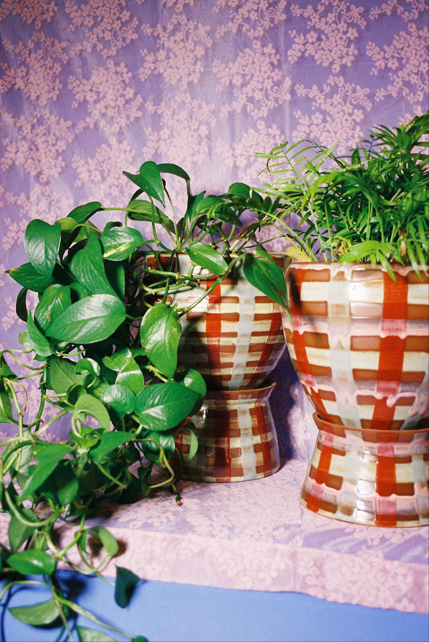 Planter 166