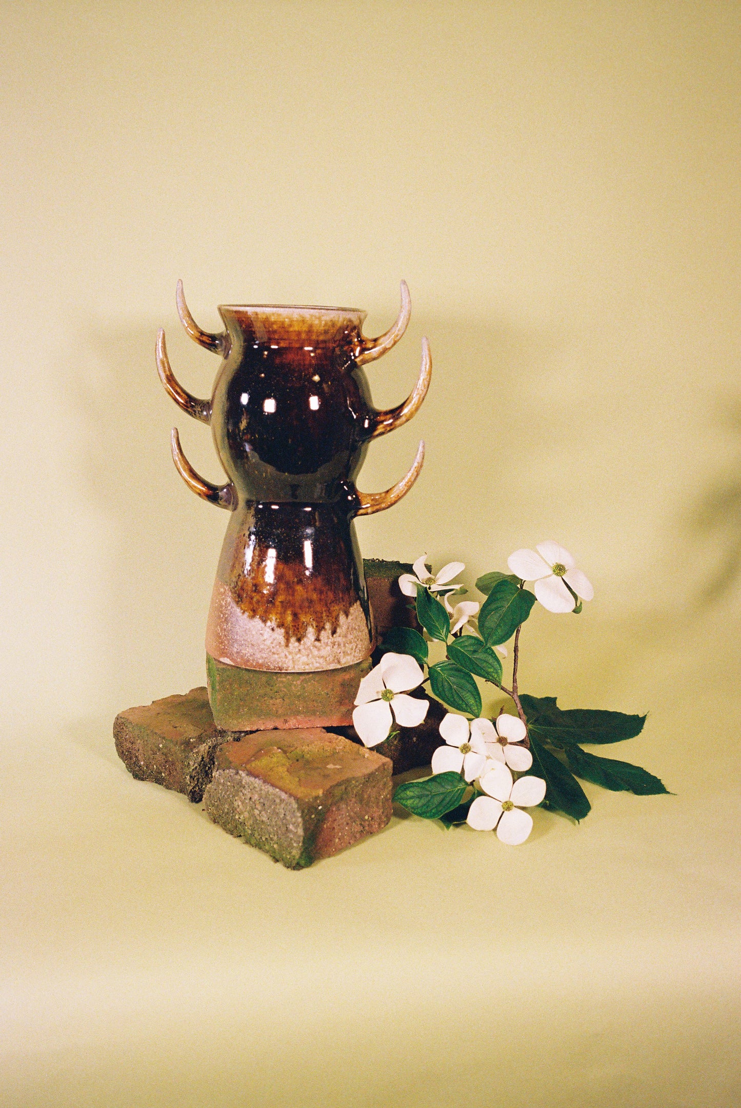 Wood Fired Vase 047
