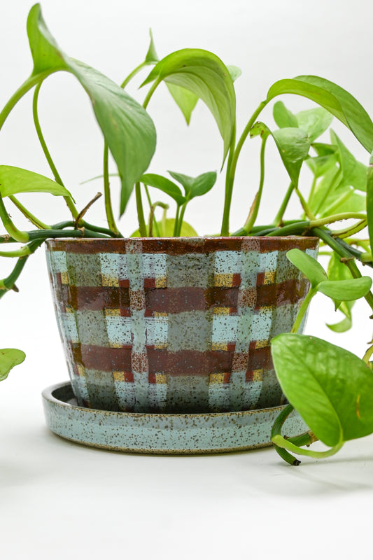 Planter 161