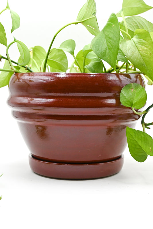 Planter 163