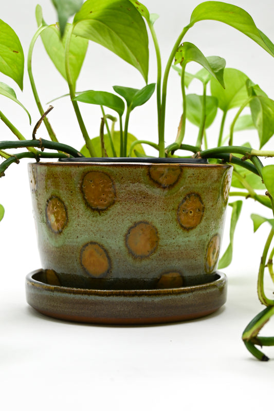 Planter 160