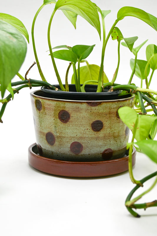 Planter 159