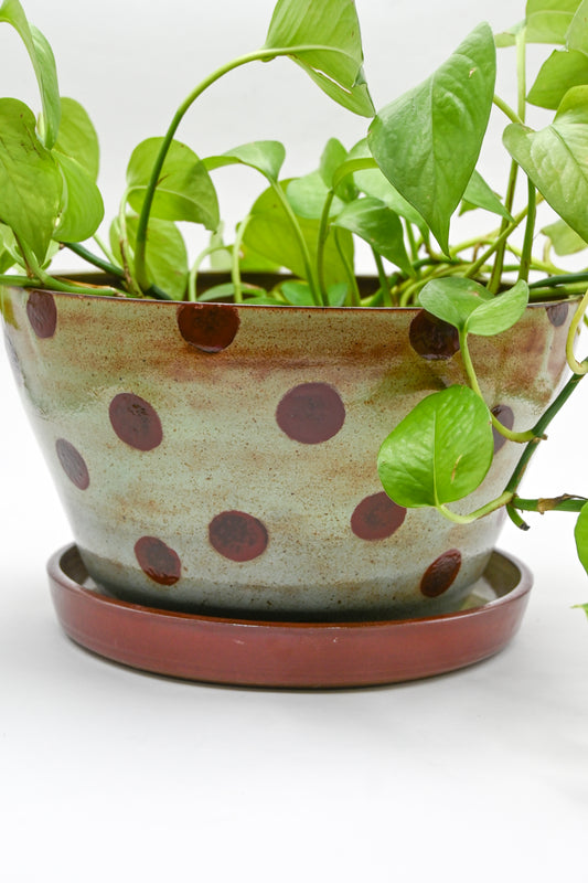 Planter 158