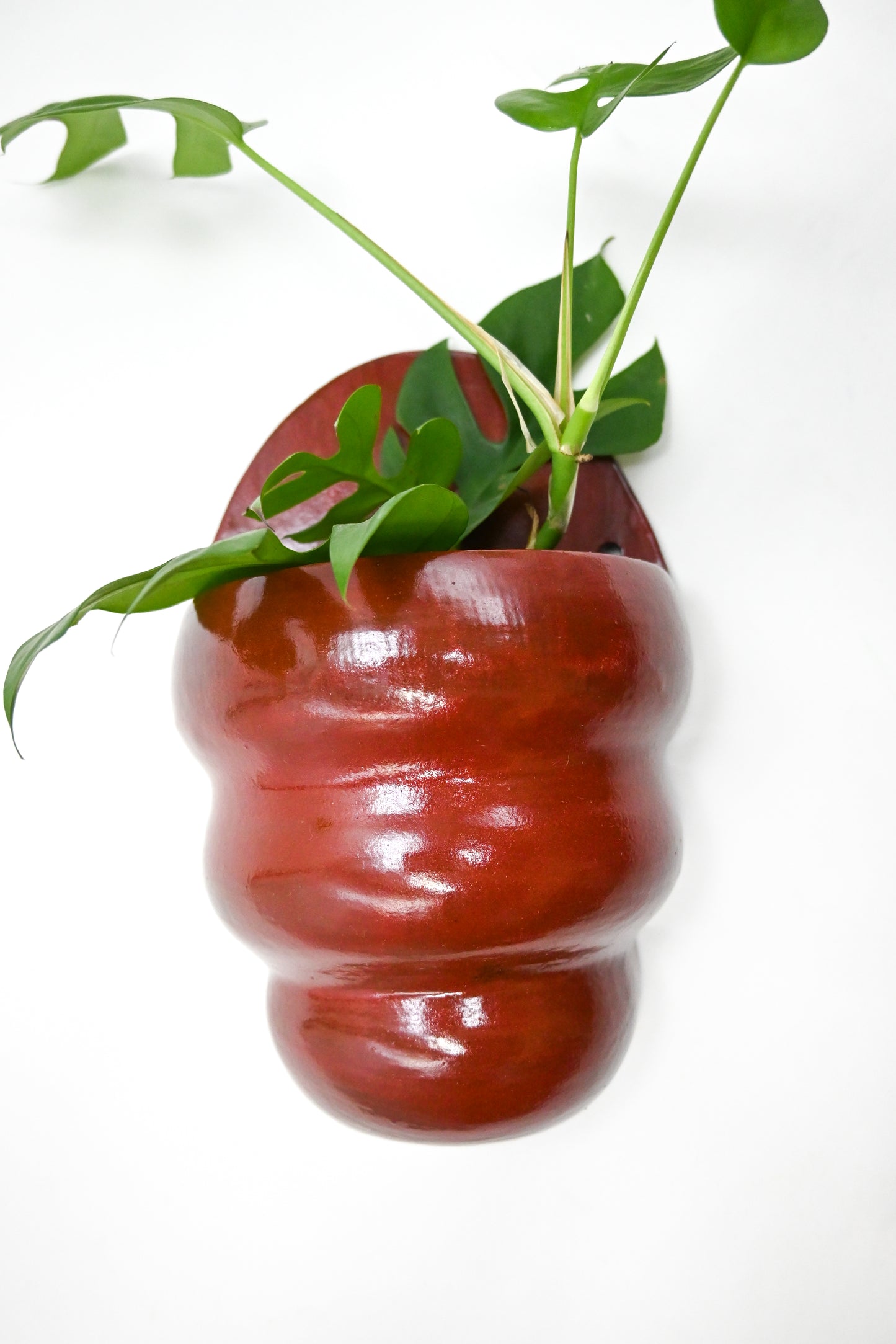 Wall Planter 006