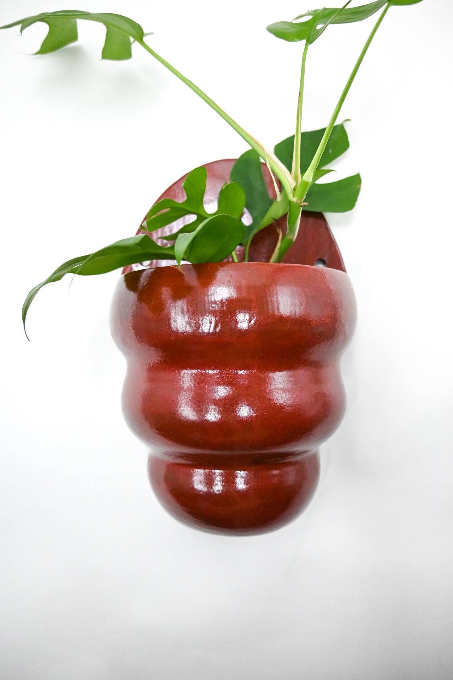 Wall Planter 006