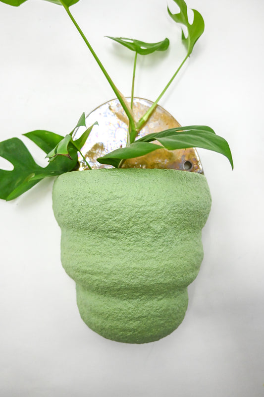 Wall Planter 007