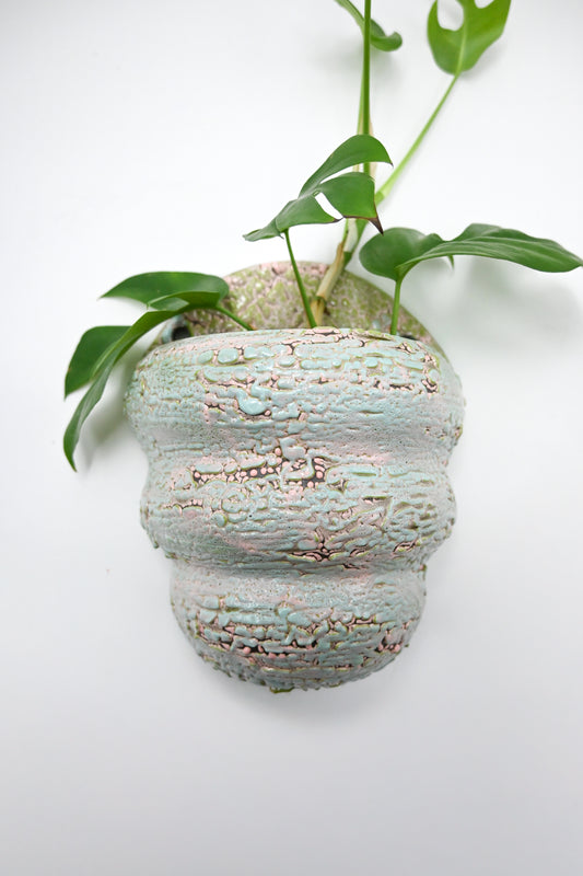Wall Planter 004