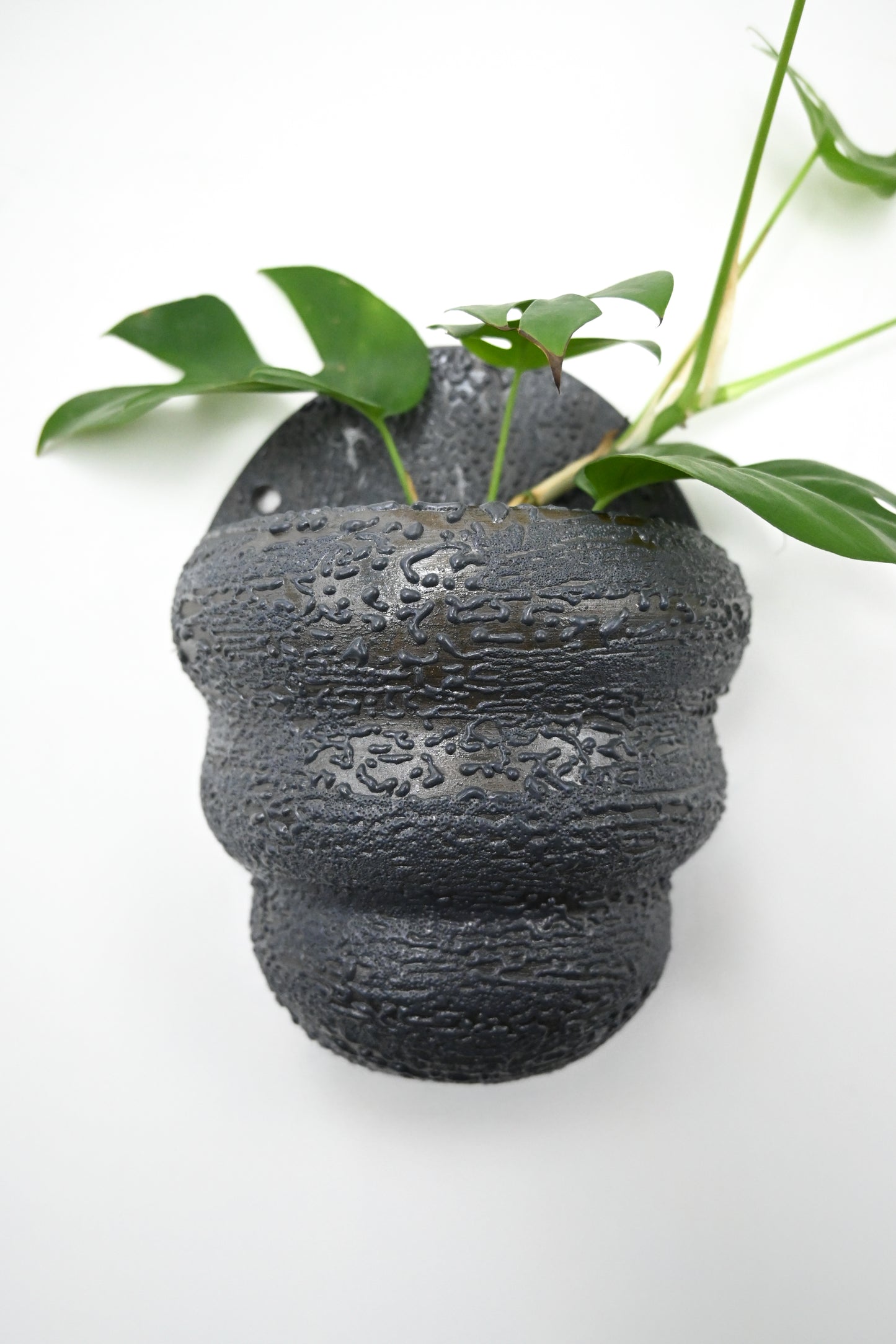 Wall Planter 005