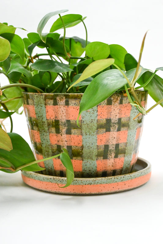 Planter 168