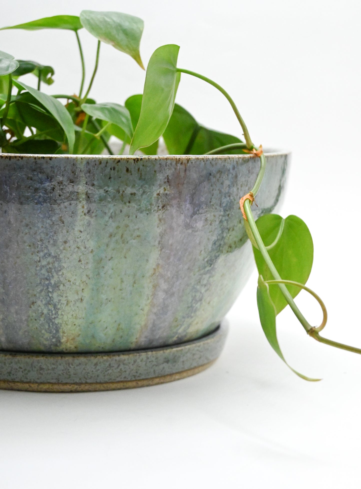 Planter 170