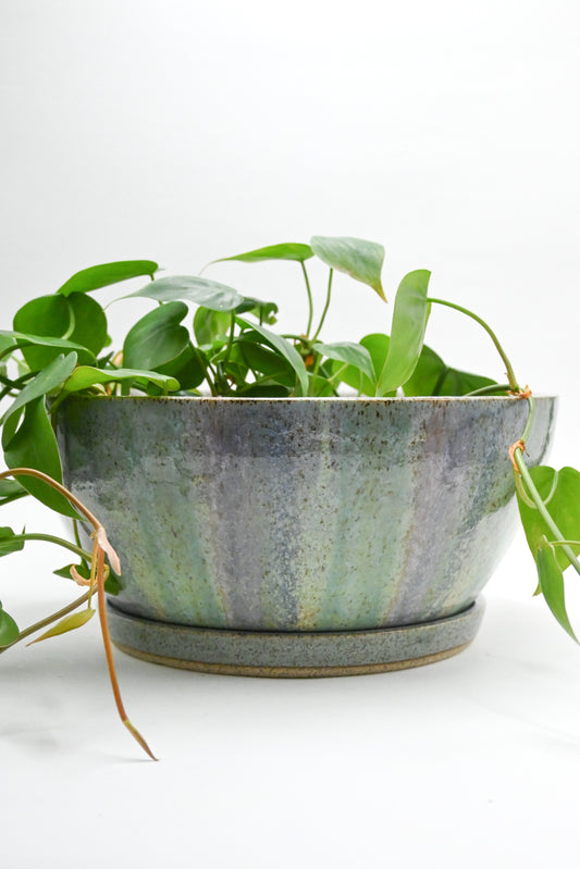 Planter 170