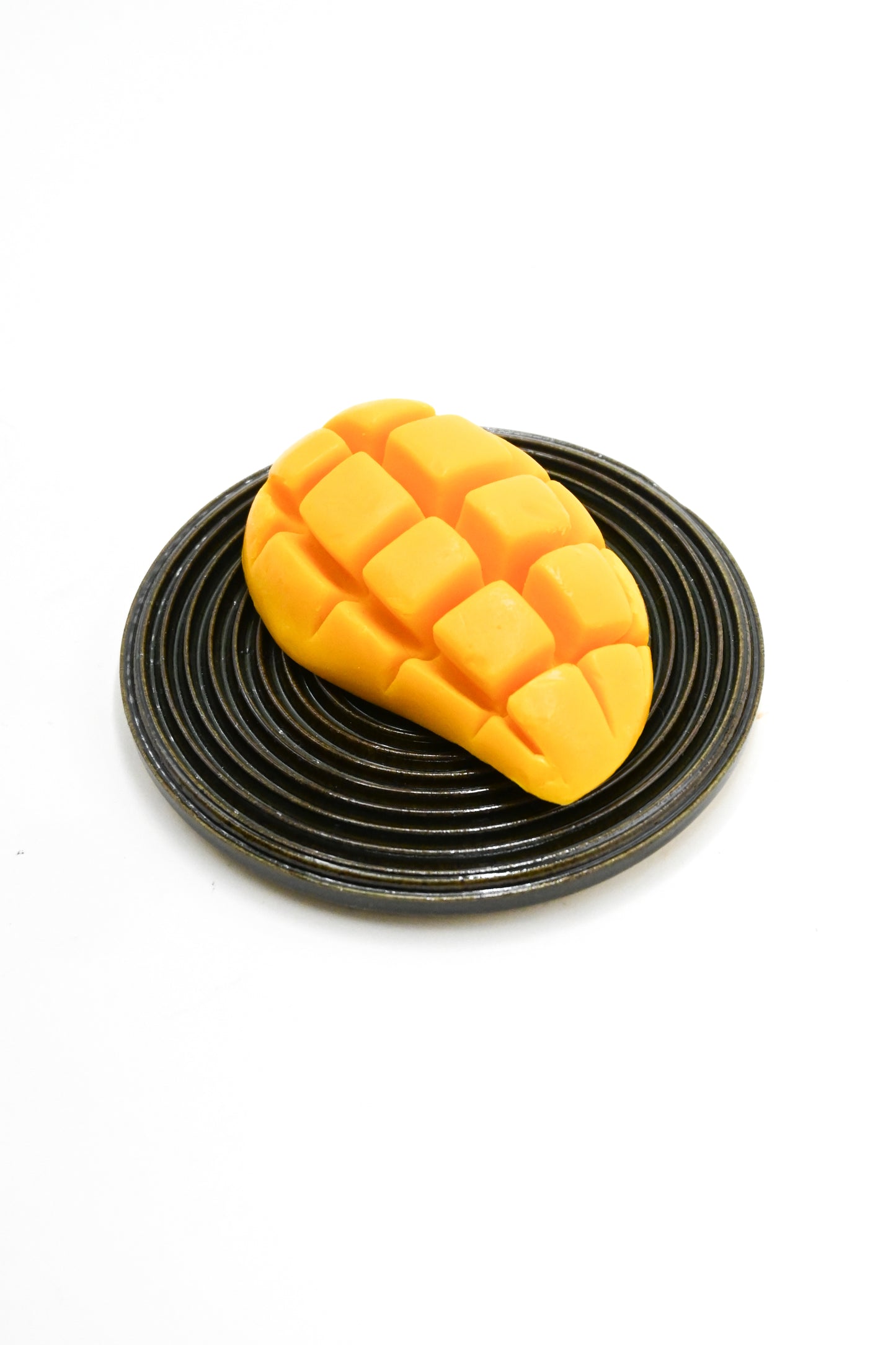 Soap Dish 010