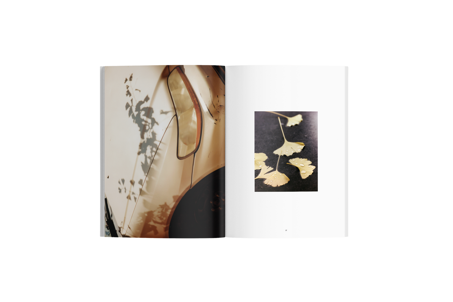 Open Spaces Magazine