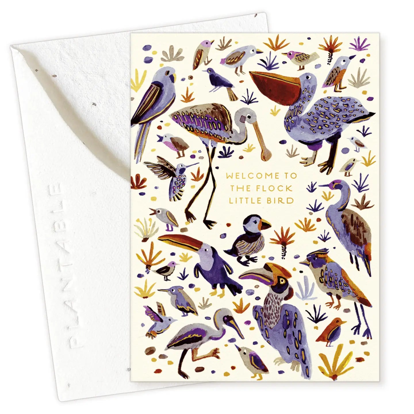 Seedlings Mini Greeting Cards