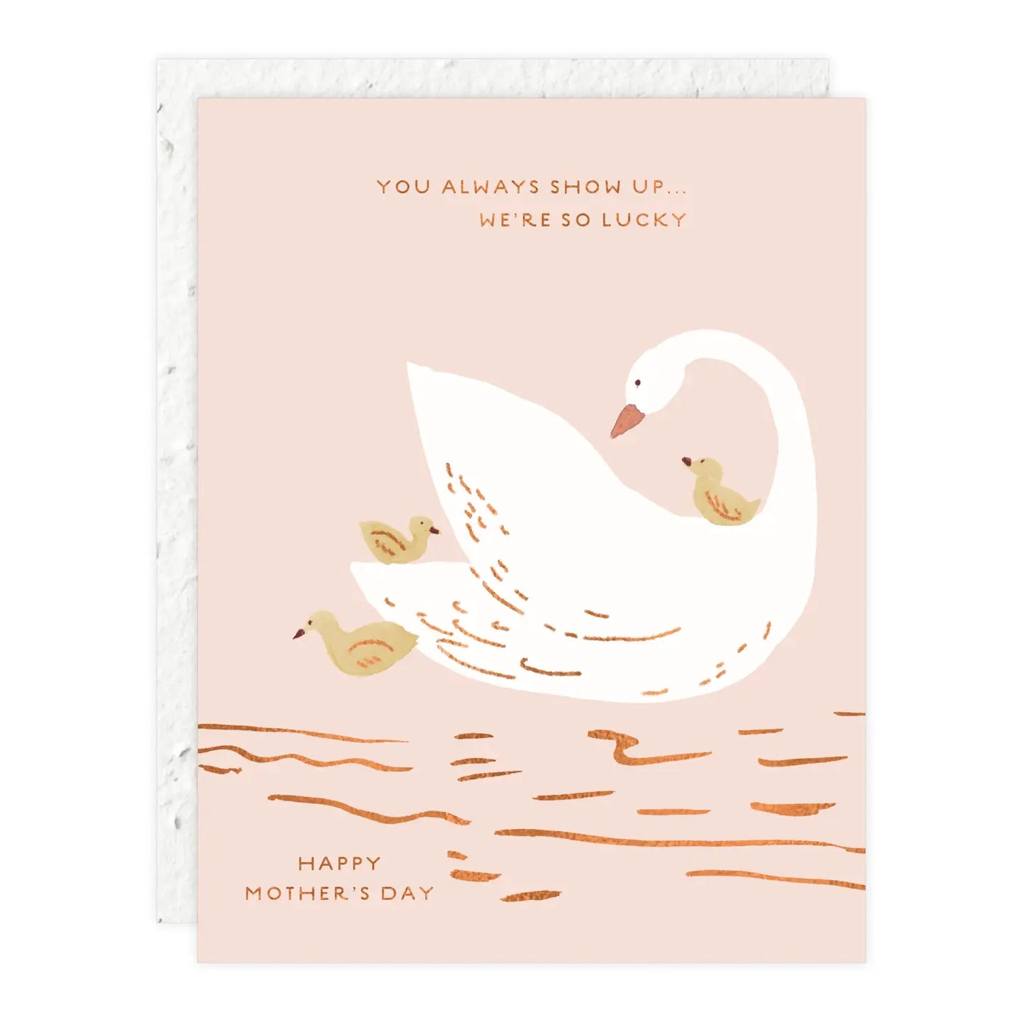 Seedlings Greeting Cards