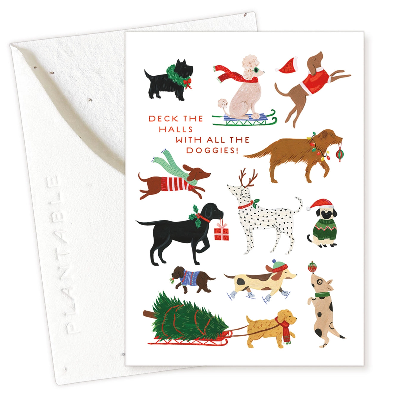 Seedlings Mini Greeting Cards